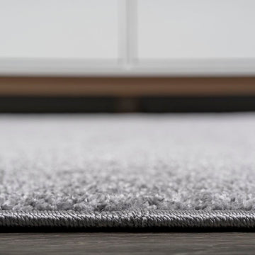 Haze Solid Low-pile Area Rug Gray